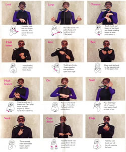 Scuba Hand Signals