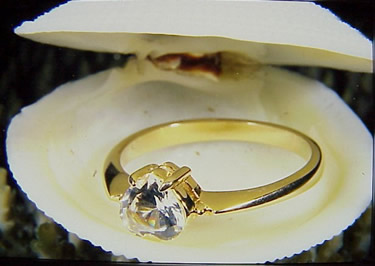 Engagement Ring in Shell